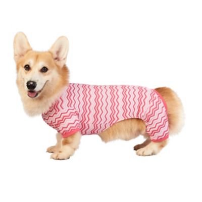 Image showing 6 th Best Furry Friends Sweetheart Dog Pajamas