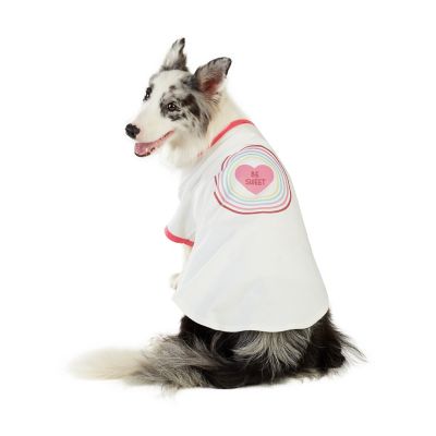 Image showing  Be Sweet Pet T-shirt