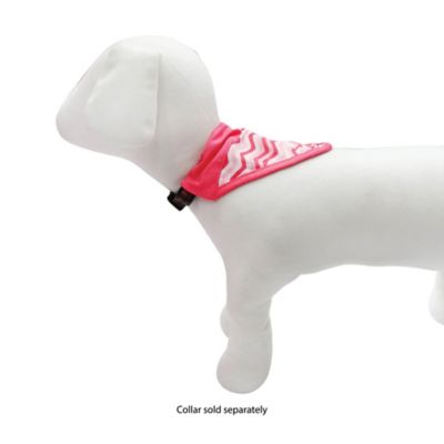 Image showing  Valentines Pet Bandana Collar Slides