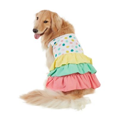 Image showing  Easter Egg Dress