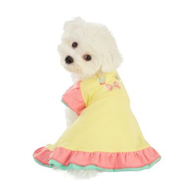 Image showing  Butterfly Dress