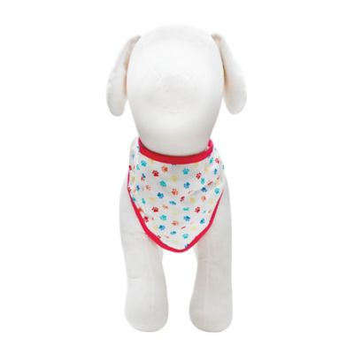 Image showing  Birthday Party Gift Set