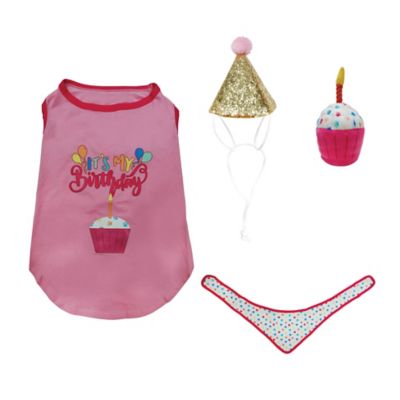 Image showing  Birthday Party Gift Set
