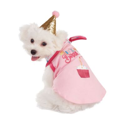 Best Furry Friends Birthday Party Gift Set