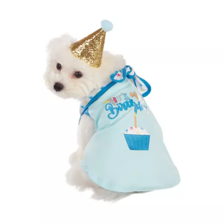 Best Furry Friends Birthday Party Gift Set Dog Costumes