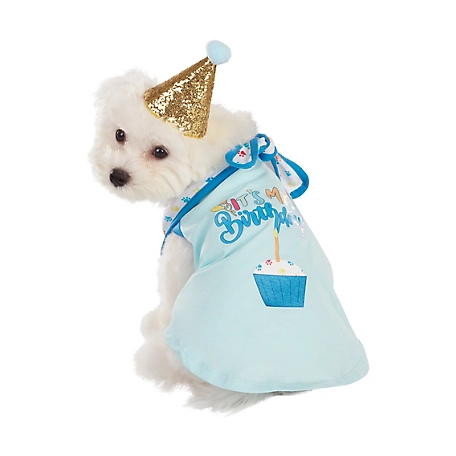 Best Furry Friends Birthday Party Gift Set