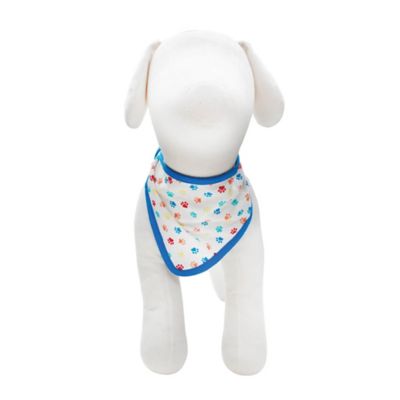 Image showing  Birthday Party Gift Set