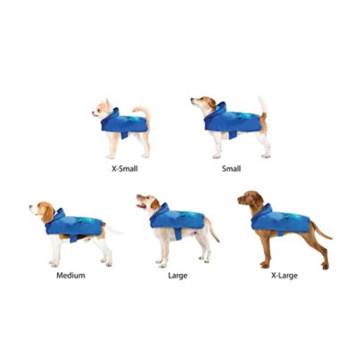 Image showing  Ombre Graphic Pet Raincoat