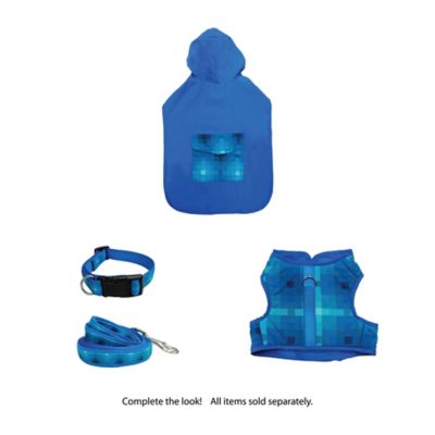 Image showing  Ombre Graphic Dog Harness