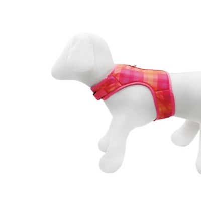 Image showing  Ombre Graphic Dog Harness