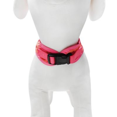 Image showing  Ombre Graphic Dog Harness