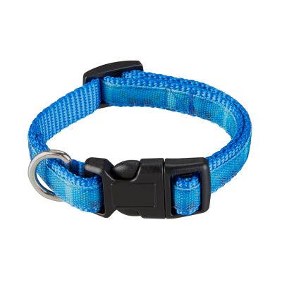Image showing  Ombre Graphic Dog Collar