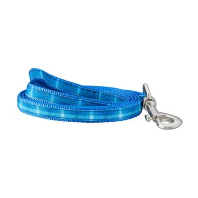 Best Furry Friends Ombre Graphic Dog Leash