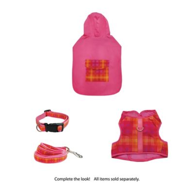 Image showing  Ombre Graphic Dog Collar