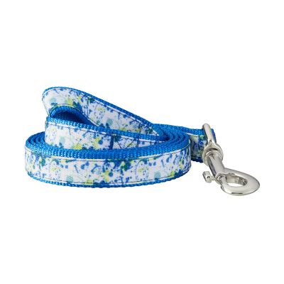 Best Furry Friends Color Splat Dog Leash