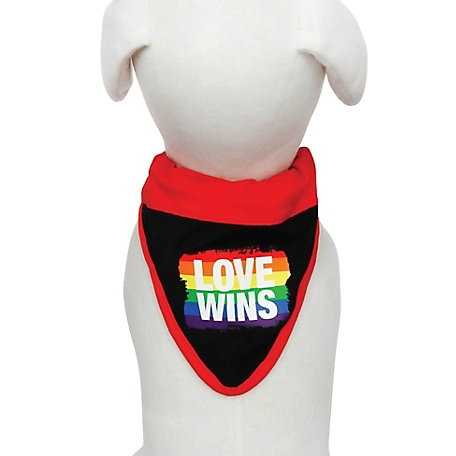 Best Furry Friends Pride Slide-On Dog Collar Bandanas