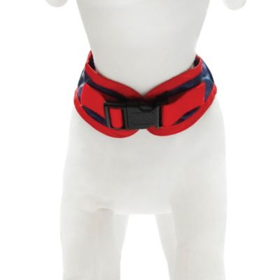Image showing  Red White and Cute Dog Harness