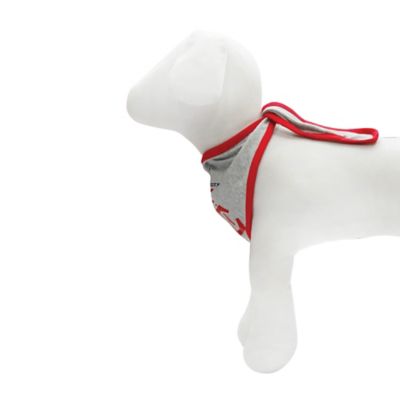 Image showing  Patriotic Bandanas