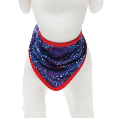 Image showing 6 th Best Furry Friends Patriotic Bandanas