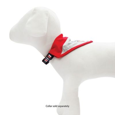 Image showing  Patriotic Slide-On Dog Collar Bandanas, 2 ct.