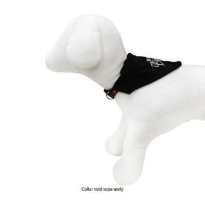Image showing  Bride Slide-On Dog Collar Bandana
