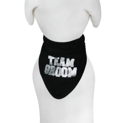 Image showing  Groom Bandana Collar Slide