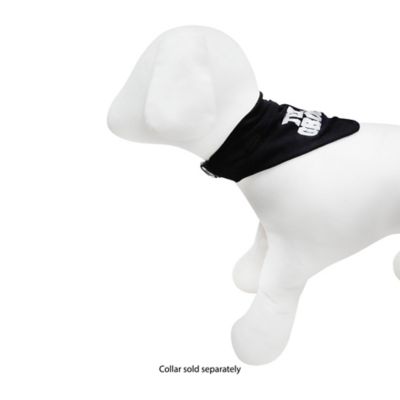 Image showing  Groom Bandana Collar Slide