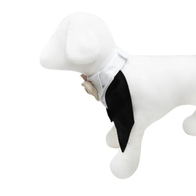 Image showing  Rustic Tuxedo Collar