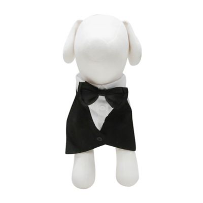 Image showing  Classic Tuxedo Collar