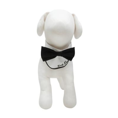 Image showing  Classic Bowtie Collar