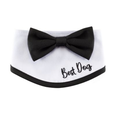 Best Furry Friends Classic Bowtie Collar