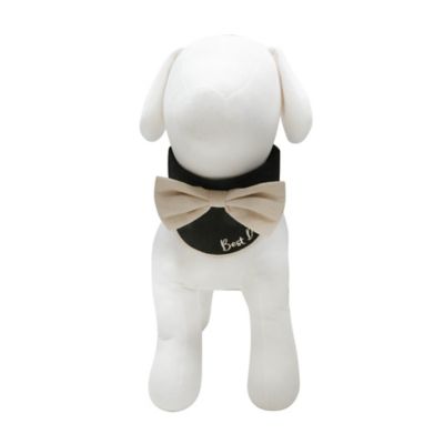 Image showing  Rustic Bowtie Collar