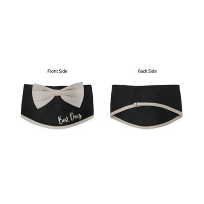 Image showing  Rustic Bowtie Collar