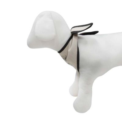 Image showing  Dog of Honor Bandana