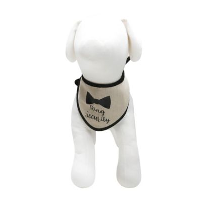 Image showing  Ring Bearer Bandana