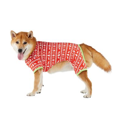 Image showing  Winter Scandinavian Dog Pajamas