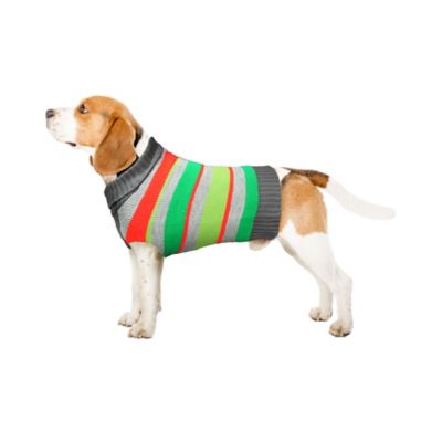 Image showing  Holiday Striped Pet Sweater
