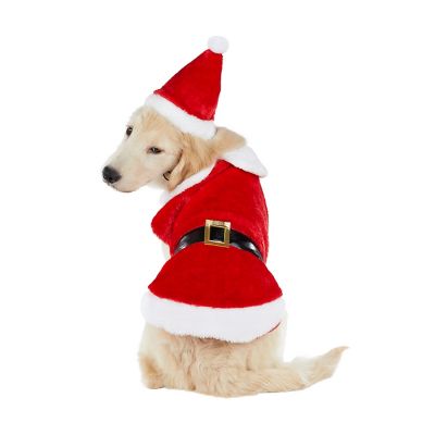 Best Furry Friends Santa Pet Costume