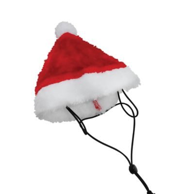 Image showing  Santa Pet Costume