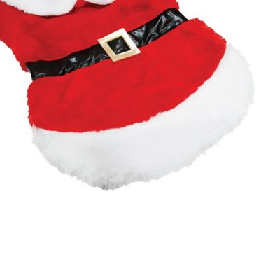 Image showing 4 th Best Furry Friends Santa Pet Costume