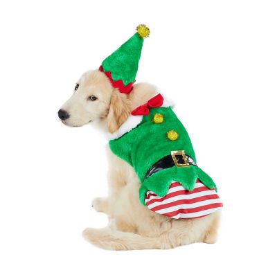 Dog in elf outlet costume