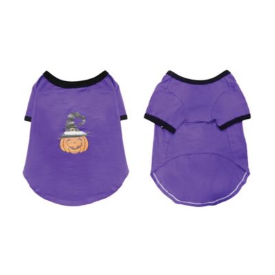 Image showing  Jack-O-Lantern Pet T-shirt