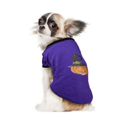 Best Furry Friends Jack-O-Lantern Pet T-shirt