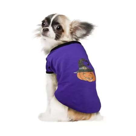 Best Furry Friends Jack-O-Lantern Pet T-Shirt Dog Shirts