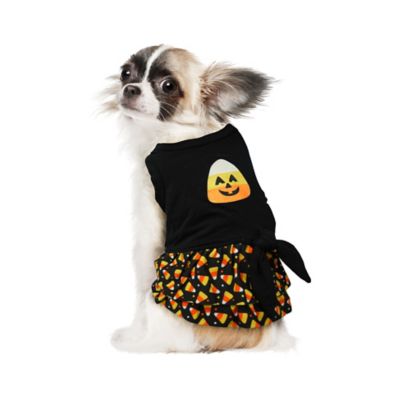 Image showing 0 th Best Furry Friends Candy Corn Pet Dress
