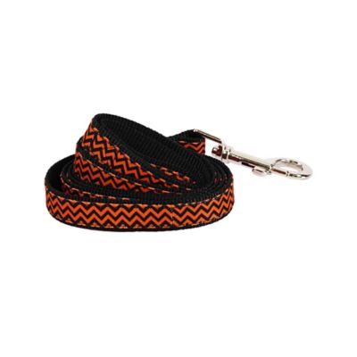 Image showing  Chevron Dog Leash
