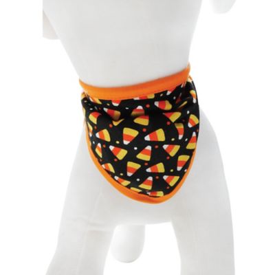 Image showing 1 th Best Furry Friends Halloween Bandana