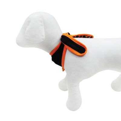 Image showing 4 th Best Furry Friends Halloween Bandana