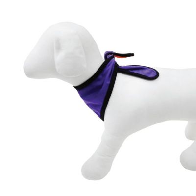Image showing 5 th Best Furry Friends Halloween Bandana