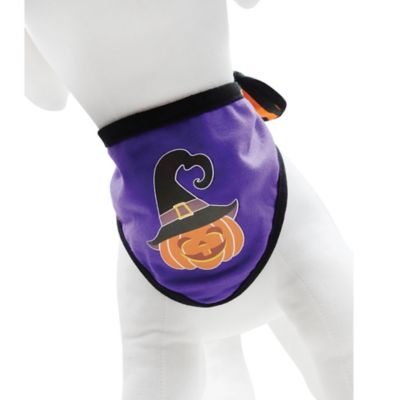Image showing 9 th Best Furry Friends Halloween Bandana